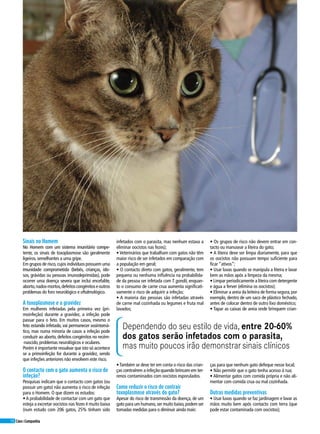 58 Cães&Companhia
Sinais no Homem
No Homem com um sistema imunitário compe-
tente, os sinais de toxoplasmose são geralmente
ligeiros, semelhantes a uma gripe.
Em grupos de risco,cujos indivíduos possuem uma
imunidade comprometida (bebés, crianças, ido-
sos, grávidas ou pessoas imunodeprimidas), pode
ocorrer uma doença severa que inclui encefalite,
aborto,nados-mortos,defeitoscongénitoseoutros
problemas do foro neurológico e oftalmológico.
A toxoplasmose e a gravidez
Em mulheres infetadas pela primeira vez (pri-
moinfeção) durante a gravidez, a infeção pode
passar para o feto. Em muitos casos, mesmo o
feto estando infetado, vai permanecer assintomá-
tico, mas numa minoria de casos a infeção pode
conduzir ao aborto, defeitos congénitos no recém-
-nascido, problemas neurológicos e oculares.
Porém é importante ressalvar que isto só acontece
se a primoinfeção for durante a gravidez, sendo
que infeções anteriores não envolvem este risco.
O contacto com o gato aumenta o risco de
infeção?
Pesquisas indicam que o contacto com gatos (ou
possuir um gato) não aumenta o risco de infeção
para o Homem. O que dizem os estudos:
• A probabilidade de contactar com um gato que
esteja a excretar oocistos nas fezes é muito baixa
(num estudo com 206 gatos, 25% tinham sido
infetados com o parasita, mas nenhum estava a
eliminar oocistos nas fezes);
• Veterinários que trabalham com gatos não têm
maior risco de ser infetados em comparação com
a população em geral;
• O contacto direto com gatos, geralmente, tem
pequena ou nenhuma influência na probabilida-
de da pessoa ser infetada com T. gondii, enquan-
to o consumo de carne crua aumenta significati-
vamente o risco de adquirir a infeção;
• A maioria das pessoas são infetadas através
de carne mal cozinhada ou legumes e fruta mal
lavados;
• Os grupos de risco não devem entrar em con-
tacto ou manusear a liteira do gato;
• A liteira deve ser limpa diariamente, para que
os oocistos não possuam tempo suficiente para
ficar “ativos”;
• Usar luvas quando se manipula a liteira e lavar
bem as mãos após a limpeza da mesma;
• Limpar periodicamente a liteira com detergente
e água a ferver (elimina os oocistos);
• Eliminar a areia da leiteira de forma segura,por
exemplo, dentro de um saco de plástico fechado,
antes de colocar dentro de outro lixo doméstico;
• Tapar as caixas de areia onde brinquem crian-
•Também se deve ter em conta o risco das crian-
ças contraírem a infeção quando brincam em ter-
renos contaminados com oocistos esporulados.
Como reduzir o risco de contrair
toxoplasmose através do gato?
Apesar do risco de transmissão da doença, de um
gato para um humano,ser muito baixo,podem ser
tomadas medidas para o diminuir ainda mais:
ças para que nenhum gato defeque nesse local;
• Não permitir que o gato tenha acesso à rua;
• Alimentar gatos com comida própria e não ali-
mentar com comida crua ou mal cozinhada.
Outras medidas preventivas
• Usar luvas quando se faz jardinagem e lavar as
mãos muito bem após contacto com terra (que
pode estar contaminada com oocistos);
Dependendo do seu estilo de vida, entre 20-60%
dos gatos serão infetados com o parasita,
mas muito poucos irão demonstrar sinais clínicos
 