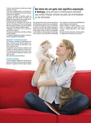 • Antes e após manusear comida lavar sempre
muito bem as mãos;
• A fruta e os legumes devem ser muito bem la-
vados antes de ingeridos para remover possíveis
oocistos da sua superfície;
• Todas as superfícies e utensílios usados na
preparação de comida devem ser limpos com
detergente e água quente, antes e depois da uti-
lização, para inativar quistos tecidulares;
• A carne deve ser cozinhada a um mínimo de
58ºC por 10 minutos ou 61ºC por 4 minutos para
eliminar quistos tecidulares.O uso de microondas
não é uma forma segura de eliminar quistos;
• Refrigerar a carne entre -12ºC a -20ºC por 3
dias elimina os quistos;
• A água não potável deve ser fervida ou filtrada
antes de ingerida;
• Controlar a população de roedores e outros po-
tenciais hospedeiros intermediários.
Diagnóstico e tratamento em gatos
Esta doença é geralmente diagnosticada com
base na história, sinais clínicos, análises san-
guíneas (como titulação de anticorpos) e, por
vezes, análise de fezes.
O prognóstico varia consoante o estádio em que
a doença se encontra, podendo ser fatal em ca-
sos extremos. No entanto, na maioria das vezes
o uso de antibióticos específicos resulta na cura
clínica do gato.
Não existe vacina para esta doença.
Em jeito de conclusão
O risco de adquirir toxoplasmose através de um
gato é muito baixo, visto que os gatos infetados
excretam o organismo nas fezes apenas alguns
Ser dono de um gato não significa exposição
à doença, uma vez que é muito pouco provável
que exista infeção através do pelo, de arranhadelas
ou de dentadas
dias, durante toda a vida.A maioria das pessoas
são infetadas por outras formas, nomeadamen-
te, através da ingestão de carne mal cozinhada.
Ser dono de um gato não significa exposição à
doença,uma vez que é muito pouco provável que
exista infeção através do pelo, de arranhadelas
ou de dentadas; e visto que gatos de interior que
nunca caçaram e que nunca foram alimentados
com comida crua não possuem probabilidade de
serem infetados com este parasita.
Simples medidas de higiene podem, no en-
tanto, ser tomadas para reduzir estes riscos
e tornar a relação gato-dono o mais segura
possível.
Na próxima edição falaremos de Dermatofito-
se, vulgarmente conhecida como Tinha. n
 