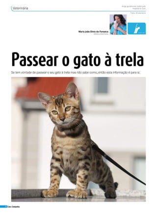 60 Cães&Companhia
Veterinária
Passear o gato à trelaSe tem vontade de passear o seu gato à trela mas não sabe como, então esta informação é para si.
Maria João Dinis da Fonseca
MédicaVeterinária
Artigo gentilmente cedido pelo
Hospital do Gato
Fotos: Shutterstock
 