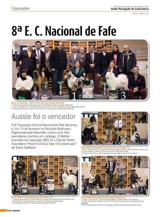 74 Cães&Companhia
8ª E. C. Nacional de Fafe
Aussie foi o vencedor
A 8ª Exposição Canina Nacional de Fafe decorreu
a 14 e 15 de fevereiro no Paviçhão Multiusos.
Organizada pela Naturfafe, contou com 564
exemplares inscritos em catálogo. O Melhor
Exemplar da Exposição (BIS) foi o Cão de Pastor
Australiano “Heart’s Choice Tyler of Crystal Lake”
de Sylvie Gailliaert.
Exposições
Resultados gentilmente cedidos pelo
Clube Português de Canicultura
Fotos: Mastim.pt
Melhor da Exposição – Best in Show (Juiz: Jean Jacques Dupas, FR)
1º “Heart’s ChoiceTylerof Crystal Lake CH (LU)”, Cão de PastorAustraliano, de Sylvie Gailliaert (FR)
2º “G D R IrisTS PPW13 JP13 LW14 BOB14 BOG14JCH (PTGI) CH (GI PT)”, Bullmastiff, de Ricardo Manuel Miranda Silva
3º “Dorian Spring Charleen Lumiere de laVie LW14 CH (PTGI)”, Samoiedo, de Pedro Miguel Silva Brito
MelhorVeterano da Exposição (Juiz: Rony Doedjins, NL)
1º “Laika CH (PT) GrCH (PT)”, Cão de Fila de São Miguel, de Amadeu Manuel Ferreira Pereira
2º “Carlito d’Aires da Serra LW09CH (PT) GrCH (PT)”, Cão da Serra de Aires, de Ana Alexandra Lemos
Magalhães
3º “John PlayerSpecial do Casal daVinha”, Beagle, de Manuel Eduardo Mendes P. Ribeiro Correia
Melhor Cachorro da Exposição (Juiz: Rui Oliveira, PT)
1º “Sangre Caliente Calimero”, PinscherMiniatura, de Álvaro Manuel Bereny Pinto LeiteTeixeira Lopes
2º “Alf do Monte do Catula”, Barbado daTerceira, de M. Mercedes Guedes Geraldes
3º “Samspring Washington JE14”, Samoiedo, de Pedro Miguel Silva Brito
Melhor Bebé da Exposição (Juiz: Manuel Loureiro Borges, PT)
1º “Fiori-TDella Baia Azzurra”, Dogue Alemão Amarelo/tigrado, de Marcos Leite Brás & ÁlvaroTeixeira Lopes
2º “Queen of Mercy de Galaouchi”, SharPei, de Patrícia Leal & Marco Santos
3º “Conde doVale de Sta. Luzia”, Bouledogue Francês, de Rogério José Leonardo Cabeleira
 