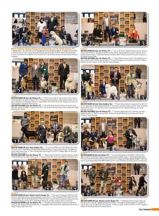 75Cães&Companhia
Melhor Exemplar de Raça Portuguesa da Exposição (Juiz: M. Amélia Taborda, PT)
1º“Jaques BOB11LW12PW13 CH (PTGI)”, Barbado daTerceira, de Patrícia Ágata N. Fernandes Oliveira Sousa
2º “Ónix da Casa de Lôas”, Cão da Serra da Estrela de pelo comprido, de Fátima Almeida & José Almeida
3º “Noz II do Casal daVinha BOB14 CH (PTGI) GrCH (PT)”, Cão da Serra de Aires, de José Emanuel Perpétua
Rodrigues
Grupo 1
MELHOR EXEMPLAR (Juiz: Rui Oliveira, PT) – 1º “Heart’s ChoiceTylerof Crystal Lake CH (LU)”, Cão de
PastorAustraliano, de Sylvie Gailliaert (FR); 2º “Chakira da Quinta do Ribeiro”, Cão de PastorAlemão de pelo
curto, de Nelson Luís Esperança Simões; 3º “Jaques BOB11LW12PW13 CH (PTGI)”, Barbado daTerceira, de
Patrícia Ágata N. Fernandes Oliveira Sousa
MELHOR CACHORRO (Juiz: Rui Oliveira, PT) – 1º “Alf do Monte do Catula”, Barbado daTerceira, de M.
Mercedes Guedes Geraldes; 2º “Adele da Soc Port”, Cão de PastorAlemão de pelo curto, de Alexandre Miguel
Maia Nogueira Chaves
Grupo 2
MELHOR EXEMPLAR (Juiz: Rony Doedjins, NL) – 1º “G D R IrisTS PPW13 JP13 LW14 BOB14 BOG14JCH
(PTGI) CH (GI PT)”, Bullmastiff, de Ricardo Manuel Miranda Silva; 2º “Ianni daVilla Zadones”, Rottweiler, de
Filipe Libório Santos Dias; 3º “That’sThe Way Bulls Gipsy Kings JP14JCH(PT)”, Bulldog Inglês, de João Filipe
Abrantes Oliveira Seabra
MELHOR CACHORRO (Juiz: Rui Oliveira, PT) – 1º “Sangre Caliente Calimero”, PinscherMiniatura, de Álva-
ro Manuel Bereny Pinto LeiteTeixeira Lopes; 2º “Itaca Boxerdel Mar”, Boxer, de M. MarMunoz Moreno (ES)
Grupo 3
MELHOR EXEMPLAR (Juiz: Manuel Loureiro Borges, PT) – 1º “Alea Jacta Est RagnarokPPW14JCH (PT)”,
American StaffordshireTerrier, de JesusVelazquez Lazaro (ES); 2º “Ymca of Padawi’s LPW11BOB14JCH (PT)
CH (GEAZMEFI MD CYBG PH MKCR SM PTCIB) GrCH (AZ)”,YorkshireTerrier, de Alda M. Oliveira Coutinho;
3º “Northbull Mickey Finn JCH (PT)”, Staffordshire BullTerrier, de Marco Antonio Garcia Cousino (ES)
MELHOR CACHORRO (Juiz: Rui Oliveira, PT) – 1º “Karballido Staffs Kathalina”, American Staffordshire
Terrier, de Jose Ignacio Andres Carballido (ES); 2º “Earthquake Staff’s Blood Bath”, Staffordshire BullTerrier, de
Diego Rodriguez-Vigil Garcia (ES)
Grupo 4
MELHOR EXEMPLAR (Juiz: Rui Oliveira, PT) – 1º “Line of Life Illinois”, Baixote Miniatura de pelo raso, de
CesarJul Barros (ES); 2º “Quasimodo de Pauro di MarLBW14”, Baixote Miniatura de pelo comprido, de M.
Rosário Gouveia Gaião; 3º “Basshubert Blueberry Shades LBW14”, Baixote Kaninchen de pelo comprido, de
M. Rosário Gouveia Gaião
MELHOR CACHORRO (Juiz: Rui Oliveira, PT) – 1º “Sidney Pollackde Pauro di Mar”, Baixote Miniatura de
pelo comprido, de M. Rosário Gouveia Gaião; 2º “Ernest Hermingway do Promontório da Lua JE14”, Baixote
Miniatura de pelo cerdoso, de Kevin Maurício Rocha Rodrigues
Grupo 5
MELHOR EXEMPLAR (Juiz: Rony Doedjins, NL) – 1º “Dorian Spring Charleen Lumiere de laVie LW14 CH
(PTGI)”, Samoiedo, de Pedro Miguel Silva Brito; 2º “Fudoumaru Go NaruseTakeda CH (ES)”,Akita, de Roberto
Martinez Perez (ES); 3º “El Lobo Artico Heart of the Mountain JCH (PT)”, Alaskan Malamute, de Concha
Caamano Creo (ES)
MELHOR CACHORRO (Juiz: Rui Oliveira, PT) – 1º “Samspring Washington JE14”, Samoiedo, de Pedro
Miguel Silva Brito; 2º “Boss do CampoVelho”, Podengo Português Médio de pelo cerdoso, de Emanuel
Timóteo A. Moura Portugal
Grupo 6
MELHOR EXEMPLAR (Juiz: Rui Oliveira, PT) – 1º“Youra dos Sete Moinhos LW13 BOB13’14BOG14LW14
WW14CH (PTGI FI) GrCH (PT)”,BassetHound,deJosé Homem de Mello Colaço; 2º“Absolutely SpotlessZippo
PPW13JE13 PW14LW14BOB14JCH (GI) CH (PTGI) GrCH (PT)”,Beagle,de Manuel Eduardo Mendes P. Ribeiro Co-
rreia; 3º“De Portolagoa BlackPearl PBW14PBW14JCH (PT)”,Cão da Dalmácia,deYessicaAlonso Fernandez(ES)
Grupo 7
MELHOR EXEMPLAR (Juiz: Manuel Loureiro Borges, PT) – 1º “Gallahad’s Austria ForEver”, Braco de
Weimarde pelo curto, de Elisabete Carla Moreira Pereira; 2º “Byra dasTerras de Fala JCH (PT)”, Braco Ale-
mão de pelo curto, deTiago André Rosa Carvalho; 3º “Bono do Lobão da BeiraTAN PW13 CH (PT)”, Epagneul
Bretão, de Sílvia AlexandraVaz Fernandes Moreira
 