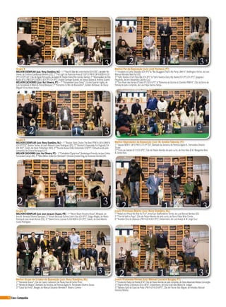 76 Cães&Companhia
Grupo 8
MELHOR EXEMPLAR (Juiz: Rony Doedjins, NL) – 1º“Paul All Starde Lomo Ancho JCH (ES)”, LabradorRe-
triever, de Cristina Cardenosa Moreno (ES); 2º“Fire Light da Pedra da Anixa JE13 JP13 PW14 LW14 BOB14JCH
(PT) CH (PTGI)”, Cão de Água Português, de Isabel M. NobreVieira Rito Gomes Santos; 3º“Moonwalkerde São
Barão JE12LPW12JP13 BOB13 JCH (PT) CH (PT)”, English SpringerSpaniel, deTeresa Soares & António Soares
MELHOR CACHORRO (Juiz: Rui Oliveira, PT) – 1º “HaradwaterUpsy Daisy”, CockerSpaniel Inglês, de
Luís Gonçalves & Mário & Sónia Marques; 2º “Extratime to Win de Boscardini”, Golden Retriever, de Óscar
Miguel Ferraz Alves Araújo
Grupo 9
MELHOR EXEMPLAR (Juiz: Rony Doedjins, NL) – 1º “Boston Style ChoiceThe Best PPW14 LW14JWW14
JCH (PTES)”, BostonTerrier, de Juan Manuel Lopez Rodriguez (ES); 2º “Horizon’s Especially ForPugbully CH
(DKNO)”, Carlin, de Heidi Fridtjofsen (NO); 3º “Nuvola Rossa Della Dolcemela CH(PT)”, Chihuahua de pelo
comprido, de Chiara Bonauguro (IT)
MELHOR CACHORRO (Juiz: Rui Oliveira, PT) – 1º“Carballeira D’guiaAura”,Bouledogue Francês,deJuan Carlos
FernandezCampo (ES); 2º“Miss Million DollarVonShinbashi”,Chinese Crested Dog,deAnnerose Demski (DE)
Grupo 10
MELHOR EXEMPLAR (Juiz: Jean Jacques Dupas, FR) – 1º “Moon Beam Roseira Brava”,Whippet, de
Ana M. Almeida Oliveira Sampaio; 2º “Anazil Because Suines Like A StarJCH (PT)”, Galgo Afegão, de Mario
Pantoja & Jose Israel Alonso (ES); 3º “ElamirExtra LicenseTo Kill BOB14 CH (PT)”, Saluki, de José Alberto
Costa Rodrigues
Melhor Grupo de Criador da Exposição (Juiz: Rony Doedjins, NL)
1º “Noroeste Suevo”, Cão de Castro Laboreiro, de Paula Dias & Carlos Pinto
2º “Monte de Magos”, Barbado daTerceira, de Patrícia Ágata N. Fernandes Oliveira Sousa
3º “Casal daVinha”, Beagle, de Manuel Eduardo Mendes P. Ribeiro Correia
Melhor Par da Exposição (Juiz: José Pacheco, PT)
1º “Invaders of Celtic Odyssey JCH (PT)”& “Bla SkuggansThat’s My Party LBW14”, BedlingtonTerrier, de Juan
Manuel Morales Marchal (ES)
2º “Val’sTsvetov D’ont Stop Me JCH (PT)”& “Val’sTsvetov Glory My Name JCH (PT) CH (PT)”, Epagneul
Pequinês, de Jeni Alexandra Cabrita Cruz
3º “Don Ruan dasTerras d’CisterJP13 JCH (PT)”& “Bohemia da Quinta do Ganhão PBW14”, Cão da Serra da
Estrela de pelo comprido, de Luís Filipe Santos Serpa
Melhor Reprodutor da Exposição (Juiz: M. Amélia Taborda, PT)
1º “Jaques BOB11LW12PW13 CH (PTGI)”, Barbado daTerceira, de Patrícia Ágata N. Fernandes Oliveira
Sousa
2º “Zorro de Daktari JE13 JCH (PT)”, Cão de PastorAlemão de pelo curto, deVitorReis & M. Margarida Reis
& Daniel Reis
Jovem Promessa Macho (Juiz: Rony Doedjins, NL)
1º “Rebel and Proud No RiskNo Fun”, American StaffordshireTerrier, de Luis Manuel Benitez (ES)
2º “ThordeVall du Paço”, Cão de PastorAlemão de pelo curto, de Nuno Filipe Brito Conde
3º “NumberOne de Gipeuca LPW14JE14JCH (PT)”, Dobermann, de Luís Araújo & M. Jorge Cruz
Jovem Promessa Fêmea (Juiz: Manuel Loureiro Borges, PT)
1º“Cookie do Pastordo PoenteJE14”,Cão de PastorAlemão de pelo comprido,de DárioAlexandre Matias Conceição
2º “Ingrid Infinity D’ikòskylo JE14 LW14”, Dobermann, de ArturJoséVale Matos M.Vidigal
3º “Banana Split da Casa da Praia LPW14JE14JCH(PT)”, Cão de Fila de São Miguel, de Amadeu Manuel
Ferreira Pereira
 