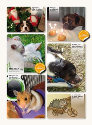 A Miss adora os
beijinhos da sua bebé.
Marcos Dias, Coimbra
A hamster Kiki
com 3 meses.
Ana Catarina Gonçalves,
TorresVedras
O Dobby com
o seu brinquedo.
Rita Dias, Rio de Mouro
O Gaspar
fez 6 aninhos.
José Martins,
Entroncamento
O primeiro
Natal do Snoopy.
Joana Carvalho,Sintra
As brincadeiras
da Nikita (3 anos).
Nathalie Fidalgo,
Vila Pouca de Aguiar
Foto
Premiada
Foto
Premiada
 