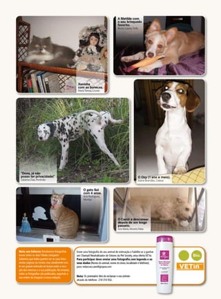 Envie uma fotografia do seu animal de estimação e habilite-se a ganhar
um Champô Neutralizador de Odores da Pet Society, uma ofertaVETin.
Para participar deve enviar uma fotografia com legenda e os
seus dados (Nome do animal,nome do dono,localidade e telefone),
para:redaccao.caes@grupov.com
Nota:Os premiados têm de reclamar o seu prémio
através do telefone: 218 310 932.
Nota aos leitores: Recebemos fotografias
novas todos os dias! Muito obrigado!
Sabemos que todos querem ver as suas fotos
nestas páginas da revista,mas atualmente exis-
te um grande intervalo de tempo entre a rece-
ção das mesmas e a sua publicação.No entanto,
todas as fotografias são publicadas,seguindo a
sua ordem de chegada à nossa redação.
"Dona, já não
posso ter privacidade!"
Catarina Dias,Portimão
O Ozy (1 ano e meio).
Joana Brandão, Lisboa
O Camir a descansar
depois de um longo
passeio.
Ana Maria,Moreira Maia
Xaninha
com as bonecas.
MariaTeresa,Loures
O gato Sol
com 4 anos.
Ana Rodrigues,
Montijo
A Matilde com
o seu brinquedo
favorito.
Bruno Lopes,Trofa
 
