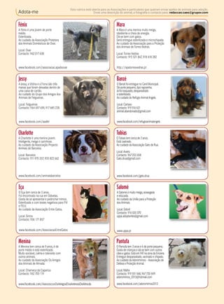 Adota-me
Esta rubrica está aberta para as Associações e particulares que queiram enviar apelos de animais para adoção.
Envie uma descrição do animal, a fotografia e contacto para: redaccao.caes@grupov.com
Fénix
A Fénix é uma jovem de porte
médio.
Esterilizada.
Ao cuidado da Associação Protetora
dos Animais Domésticos de Ovar.
Local: Ovar
Contacto: 962017438
www.facebook.com/associacao.apadoovar
Jessy
A Jessy, aVitória e a Fiona são três
manas que foram deixadas dentro de
uma caixa de cartão.
Ao cuidado do Grupo dos Amigos dos
Animais de Felgueiras.
Local: Felgueiras
Contacto: 964 697659, 917685 228
www.facebook.com/aaafel
Charlotte
A Charlotte é uma menina jovem.
Inteligente, meiga e carinhosa.
Ao cuidado da Associação Projecto
Animais de Barcelos.
Local: Barcelos
Contacto: 911970 207, 935 822662
www.facebook.com/animaisbarcelos
Eça
O Eça tem cerca de 3 anos.
Foi encontrado na rua em Odivelas.
Gosta de se apresentare pedincharmimos.
Esterilizado e com testes negativos para FIV
e FELV.
Ao cuidado da Associação Entre Gatos.
Local: Sintra
Contacto: 936 171857
www.facebook.com/AssociacaoEntreGatos
Menina
A Menina tem cerca de 9anos, é de
porte médio e está esterilizada.
Muito sociável, calma e tolerante com
outros animais.
Ao cuidado da Associação Os Amigos
dos Animais de Almada.
Local: Charneca da Caparica
Contacto: 962700 119
www.facebook.com/AssociacaoOsAmigosDosAnimaisDeAlmada
Mara
A Mara é uma menina muito meiga,
obediente e cheia de energia.
Dá-se bem com gatos.
Será entregue esterilizada e microchipada.
Ao cuidado da Associação para a Proteção
dos Animais deTorresVedras.
Local:TorresVedras
Contacto: 915 521867, 918 418 282
http://apatorresvedras.pt
Banzé
O Banzé foi entregue no Canil Municipal.
De porte pequeno,tipo raposinha.
Já foi tosquiado,desparasitado
e esterilizado.
Ao cuidado do RefúgioAnimalAngels.
Local: Cartaxo
Contacto: 919516 631
animal.abandonado@gmail.com
www.facebook.com/refugioanimalangels
Tobias
OTobias tem cerca de 2anos.
Está castrado.
Ao cuidado daAssociação Gato de Rua.
Local:Aveiro
Contacto: 967203 658
Gato.drua@gmail.com
www.facebook.com/gato.drua
Salomé
ASalomé é muito meiga,sossegada
e educada.
Ao cuidado da União para a Proteção
dosAnimais.
Local: Estoril
Contacto: 916 620 370
uppa.adoptantes@gmail.com
www.uppa.pt
Pantufa
O Pantufa tem 3 anos e é de porte pequeno.
Gosta de crianças e dá-se bem com outros
cães e gatos. Está em FATnazona da Ericeira.
Entregue desparasitado,vacinado e chipado.
Ao cuidado daAdoromimos –Associação de
Defesa e ProteçãoAnimal.
Local: Mafra
Contacto: 919551568,967730 699
adoromimos_2013@hotmail.com
www.facebook.com/adoromimos2013
 
