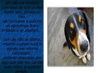 Ah! não me venham com essa de que os Pais fazem isso, porque os Pais  são humanos e quando os agredimos ficam irritados e se afastam...    Um cão não se afasta, mesmo quando você o agride; ele retorna cabisbaixo,  pedindo desculpas por algo que não fez. Lambe suas mãos, a suplicar perdão.  