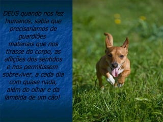 DEUS quando nos fez humanos, sabia que precisaríamos de guardiões  materiais que nos tirasse do corpo, as aflições dos sentidos e nos permitissem  sobreviver, a cada dia com quase nada, além do olhar e da lambida de um cão!    