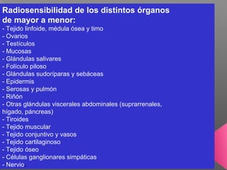 Radiosensibilidad de los distintos órganos
de mayor a menor:
- Tejido linfoide, médula ósea y timo
- Ovarios
- Testículos
- Mucosas
- Glándulas salivares
- Folículo piloso
- Glándulas sudoríparas y sebáceas
- Epidermis
- Serosas y pulmón
- Riñón
- Otras glándulas viscerales abdominales (suprarrenales,
hígado, páncreas)
- Tiroides
- Tejido muscular
- Tejido conjuntivo y vasos
- Tejido cartilaginoso
- Tejido óseo
- Células ganglionares simpáticas
- Nervios
 