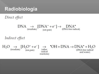 Radiobiología
 