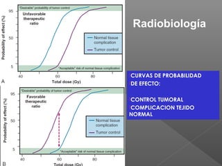 CURVAS DE PROBABILIDAD
DE EFECTO:
CONTROL TUMORAL
COMPLICACION TEJIDO
NORMAL
Radiobiología
 