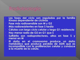  Las fases del ciclo son reguladas por la familia
Kinasa dependiente de ciclinas
 Fase más radiosensible son M y G2
 Más radioresistentes en fase S tardía
 Células con largo ciclo celular y largo G1 resistencia
 Hay menor radio de O2 en G1 que S
 Sulfidrilo son radioprotectores, altos en fase S y
menor en M
 El daño en el cromosoma produce un daño
metabólico que produce perdida de ADN que es
incompatible con la proliferacion celular y conduce
a la muerte de la celula.
 