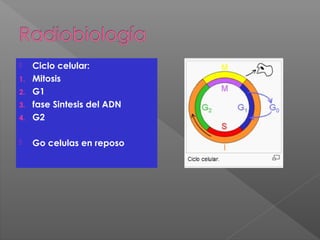  Ciclo celular:
1. Mitosis
2. G1
3. fase Sintesis del ADN
4. G2
 Go celulas en reposo
 