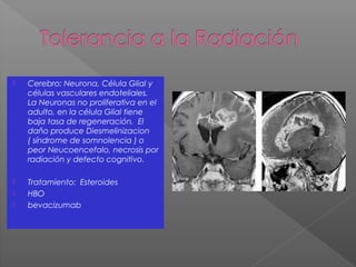  Cerebro: Neurona, Célula Glial y
células vasculares endoteliales.
La Neuronas no proliferativa en el
adulto, en la célula Glial tiene
baja tasa de regeneración. El
daño produce Diesmelinizacion
( síndrome de somnolencia ) o
peor Neucoencefalo, necrosis por
radiación y defecto cognitivo.
 Tratamiento: Esteroides
 HBO
 bevacizumab
 