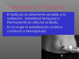  El testículo es altamente sensible a la
radiación. Esterilidad temporal o
Permanente sin afectar la líbido.
 En la mujer la esterilización ovárica
conduce a Menopausia
 