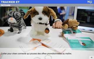 Collier pour chien connecté qui pousse des offres promotionnelles au maître.
TRACKER ET
45
PETCARE
 
