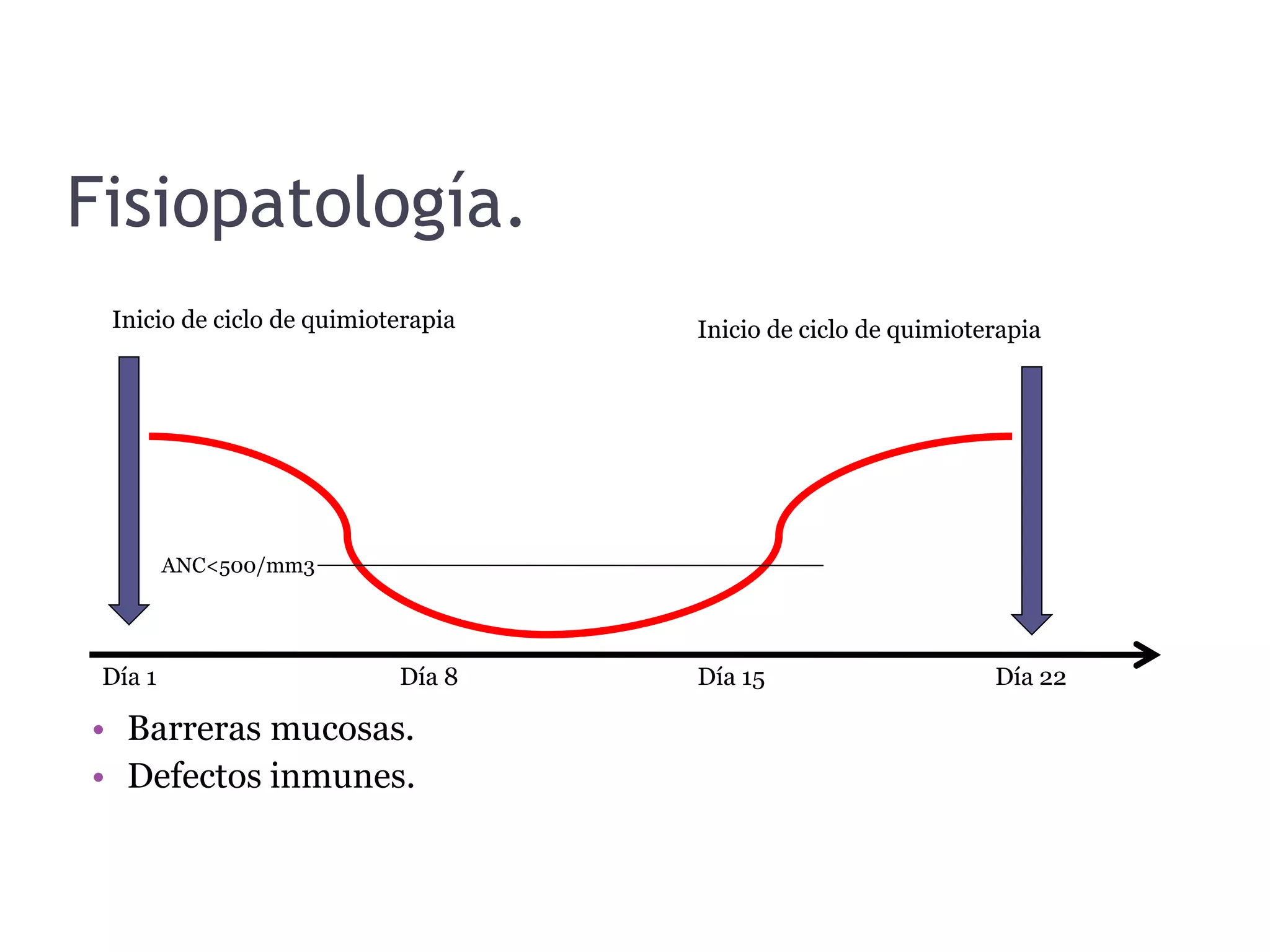 Fisiopatología.
• Barreras mucosas.
• Defectos inmunes.
Día 1 Día 8 Día 15 Día 22
Inicio de ciclo de quimioterapia Inicio de ciclo de quimioterapia
ANC<500/mm3
 