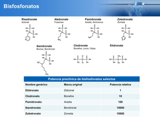 Bisfosfonatos
Risedronate
Actonel
Aledronate
Fosamax
Pamidronate
Aredia, Aminomux
Zoledronate
Zometa
Clodronate
Bonefos, Loron, Ostac
EtidronateIbandronate
Boniva, Bondronat
Potencia preclínica de bisfosfonatos selectos
Nombre genérico Marca original Potencia relativa
Etidronato Didronel 1
Clodronato Bonefos 10
Pamidronato Aredia 100
Ibandronato Bondronat 10000
Zoledronato Zometa 10000
 