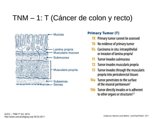 TNM – 1: T (Cáncer de colon y recto)
Creado por: Mauricio Lema Medina - LemaTeachFiles© - 2011
AJCC – TNM 7th
Ed, 2010
http://www.cancerstaging.org/ 06.02.2011
 