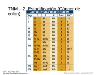 TNM – 2: Estadificación (Cáncer de
colon)
Creado por: Mauricio Lema Medina - LemaTeachFiles© - 2011
AJCC – TNM 7th
Ed, 2010
http://www.cancerstaging.org/ 06.02.2011
 