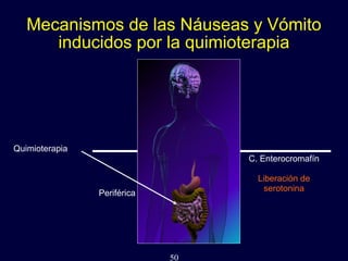 50
Mecanismos de las Náuseas y Vómito
inducidos por la quimioterapia
C. Enterocromafín
Liberación de
serotonina
Quimioterapia
Periférica
 