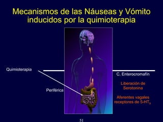 51
Mecanismos de las Náuseas y Vómito
inducidos por la quimioterapia
C. Enterocromafín
Liberación de
Serotonina
Aferentes vagales
receptores de 5-HT3
Quimioterapia
Periférica
 
