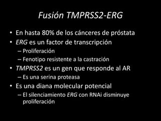 Fusión TMPRSS2-ERG
• En hasta 80% de los cánceres de próstata
• ERG es un factor de transcripción
– Proliferación
– Fenotipo resistente a la castración
• TMPRSS2 es un gen que responde al AR
– Es una serina proteasa
• Es una diana molecular potencial
– El silenciamiento ERG con RNAi disminuye
proliferación
 