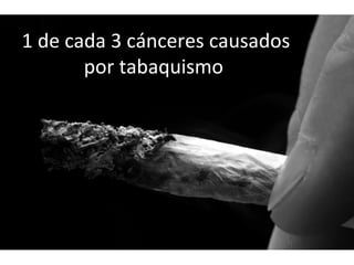 1 de cada 3 cánceres causados
por tabaquismo
 