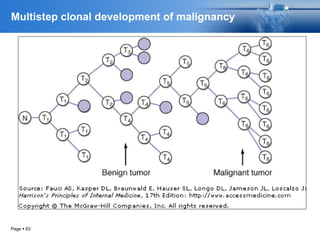 Multistep clonal development of malignancy
Page  63
 