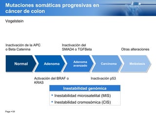 Page  64
Mutaciones somáticas progresivas en
cáncer de colon
NormalNormal AdenomaAdenoma Adenoma
avanzado
Adenoma
avanzado CarcinomaCarcinoma MetástasisMetástasis
Inactivación de la APC
o Beta Catenina
Vogelstein
Inactivación del
SMAD4 o TGFBeta Otras alteraciones
Activación del BRAF o
KRAS
Inactivación p53
Inestabilidad genómica
 Inestabilidad microsatelital (MIS)
 Inestabilidad cromosómica (CIS)
 