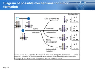 Diagram of possible mechanisms for tumor
formation
Page  65
 