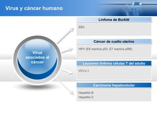 Virus y cáncer humano
Linfoma de BurkittLinfoma de Burkitt
Cáncer de cuello uterinoCáncer de cuello uterino
Leucemia linfoma células T del adultoLeucemia linfoma células T del adulto
Carcinoma hepatocelularCarcinoma hepatocelular
EBV
HPV (E6 inactiva p53, E7 inactiva pRB)
HTLV-1
Hepatitis B
Hepatitis C
Virus
asociados al
cáncer
 