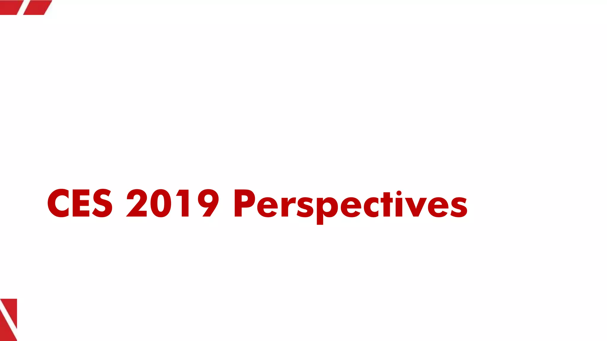 CES 2019 Perspectives
 