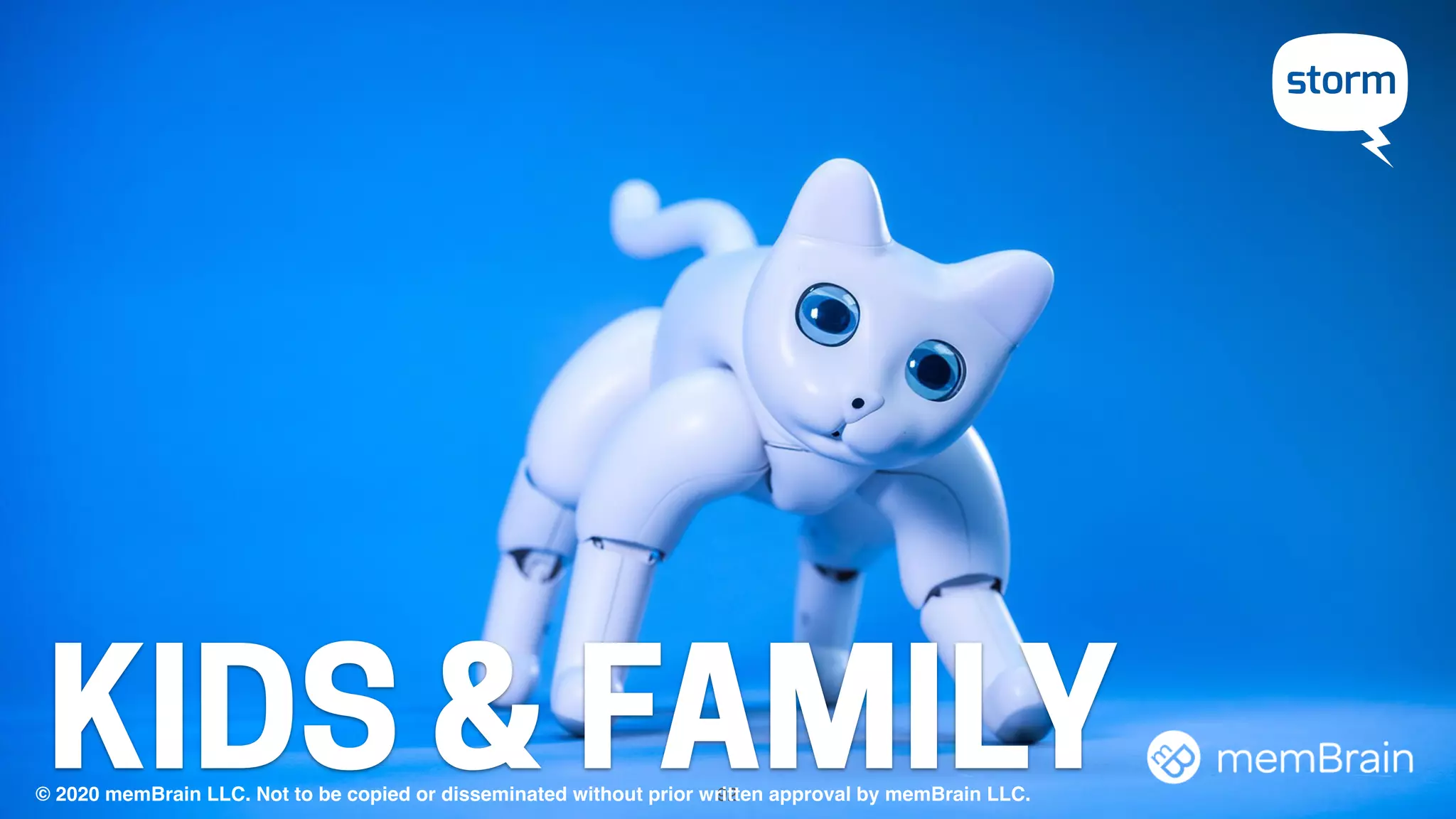 KIDS & FAMILY92© 2020 memBrain LLC. Not to be copied or disseminated without prior written approval by memBrain LLC.
 