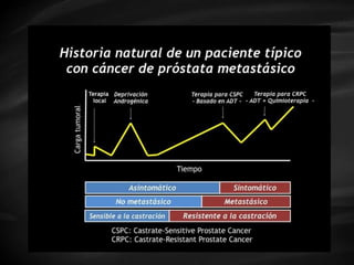 CES202001_CaProstata