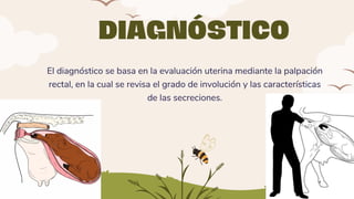 DIAGNÓSTICO
El diagnóstico se basa en la evaluación uterina mediante la palpación
rectal, en la cual se revisa el grado de involución y las características
de las secreciones.
 