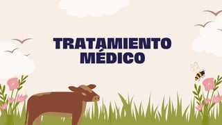 TRATAMIENTO
MÉDICO
 