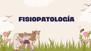 FISIOPATOLOGÍA
 