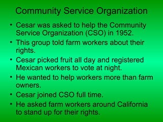 Community Service Organization
• Cesar was asked to help the Community
  Service Organization (CSO) in 1952.
• This group told farm workers about their
  rights.
• Cesar picked fruit all day and registered
  Mexican workers to vote at night.
• He wanted to help workers more than farm
  owners.
• Cesar joined CSO full time.
• He asked farm workers around California
  to stand up for their rights.
 