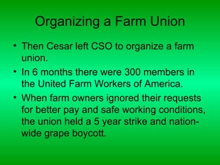 Organizing a Farm Union
• Then Cesar left CSO to organize a farm
  union.
• In 6 months there were 300 members in
  the United Farm Workers of America.
• When farm owners ignored their requests
  for better pay and safe working conditions,
  the union held a 5 year strike and nation-
  wide grape boycott.
 