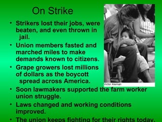 On Strike
• Strikers lost their jobs, were
  beaten, and even thrown in
   jail.
• Union members fasted and
  marched miles to make
  demands known to citizens.
• Grape growers lost millions
  of dollars as the boycott
   spread across America.
• Soon lawmakers supported the farm worker
  union struggle.
• Laws changed and working conditions
  improved.
• The union keeps fighting for their rights today.
 