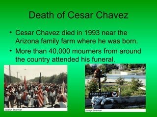 Death of Cesar Chavez
• Cesar Chavez died in 1993 near the
  Arizona family farm where he was born.
• More than 40,000 mourners from around
  the country attended his funeral.
 