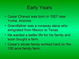 Early Years
• Cesar Chavez was born in 1927 near
  Yuma, Arizona.
• Grandfather was a runaway slave who
  emigrated from Mexico to Texas.
• He wanted a better life for his family and
  soon bought a farm.
• Cesar’s whole family worked hard on the
  100 acre family farm.
 