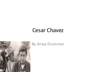 Cesar Chavez 
By Aniya Drummer 
 