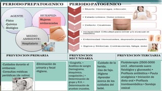 -Cuidados durante el
embarazo
-Consultas médicas
periódicas (de rutina)
-Eliminación de
urinaria y fecal
-Higiene.
▪ Ecografía. ▪
Analítica de sangre
(hemograma,
bioquímica,
coagulación.) ▪
Determinación de
grupo y R.H. ▪
Determinación de
pruebas cruzadas.
-Cuidado de la
herida.
-Uso de faja.
-Higiene
-Aprender
acerca de los
cuidados del
bebé.
Fluidoterapia (2500-3000
cm3 , alternando suero
fisiológico y glucosado) ▪
Profilaxis antibiótica ▪ Pauta
analgésica ▪ Iniciación de
dieta oral ▪ Profilaxis
tromboembólica ▪ Sondaje
vesical
-Físico
-Químico
-Biológico
Mujeres
embarazadas
Hospitalario
 