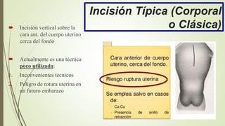 Incisión Típica (Corporal
o Clásica) Incisión vertical sobre la
cara ant. del cuerpo uterino
cerca del fondo
 Actualmente es una técnica
poco utilizada:
1. Inconvenientes técnicos
2. Peligro de rotura uterina en
un futuro embarazo
 