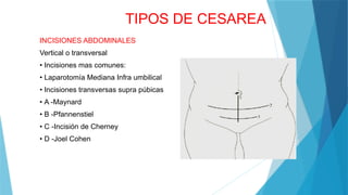 cesarea en el area de gibecoobstetricia .pptx