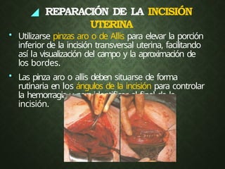 ◢ REPARACIÓN DE LA INCISIÓN
UTERINA
• Utilizarse pinzas aro o de Allis para elevar la porción
inferior de la incisión transversal uterina, facilitando
así la visualización del campo y la aproximación de
los bordes.
• Las pinza aro o allis deben situarse de forma
rutinaria en los ángulos de la incisión para controlar
la hemorragia y para identificar el final de la
incisión.
 