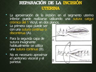REPARACIÓN DE LA INCISIÓN
UTERINA
• La aproximación de la incisión en el segmento uterino
inferior puede realizarse utilizando una sutura catgut
crómica del 1 Vicryl, en dos planos.
• La primera capa puede ser
conuna sutura continua o
discontinua (A).
• Para la segunda capa de
sutura invaginante
habitualmente se utiliza
una sutura continua (B).
• No es necesario aproximar
el peritoneo visceral y el
parietal.
 