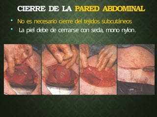 CIERRE DE LA PARED ABDOMINAL
• No es necesario cierre del tejidos subcutáneos
• La piel debe de cerrarse con seda, mono nylon.
 