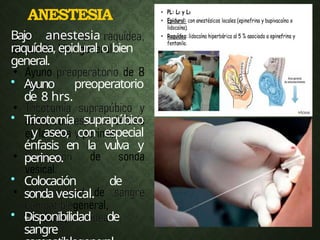 ANESTESIA
C
e
s
á
r
e
a
s
Bajo anestesia
raquídea, epidural o bien
general.
• Ayuno preoperatorio
de 8 hrs.
• Tricotomía suprapúbico
y aseo, con especial
énfasis en la vulva y
perineo.
• Colocación de
sondavesical.
• Disponibilidad de
sangre
 